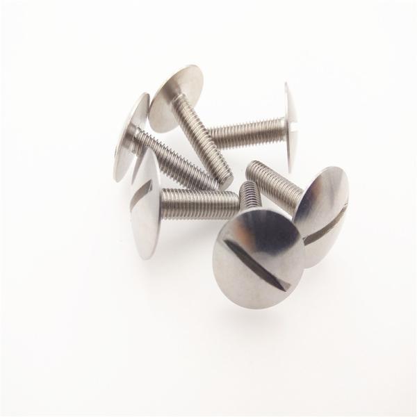 Stainless Steel Extra-Wide Truss Head Slotted Screws GB947 Big Truss Head Slotted Drive Screws ASME B18.6.3 Screw