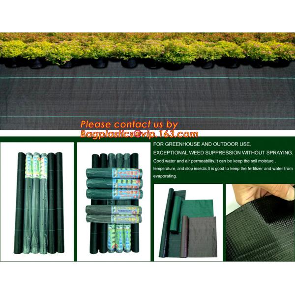 Garden used tomato plastic film cover,high light transmittance solar control seeding nursery greenhouse covers,100% virg