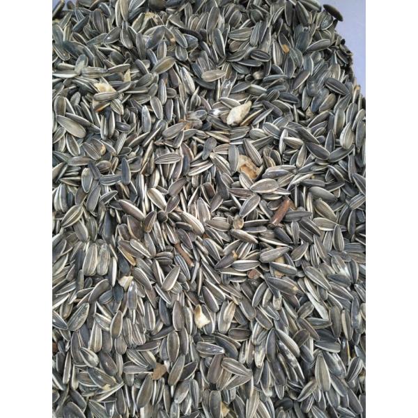 2024 newest Rosehip Seed Color Sorting Machine Paddy Seed Color Sorter Machine