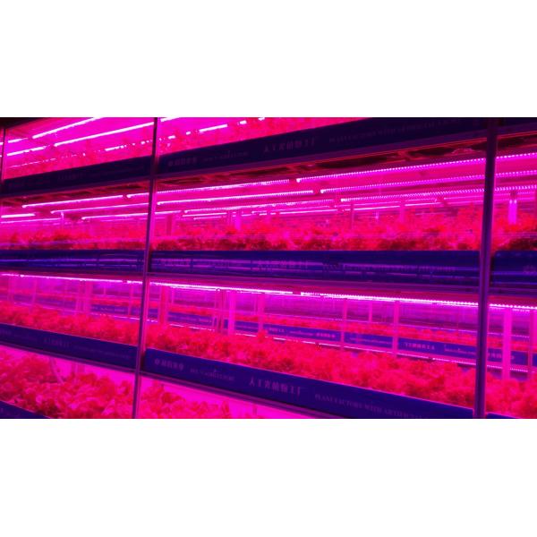 Greenhouse Agriculture Iot Vertical Factory For Modern Agriculture