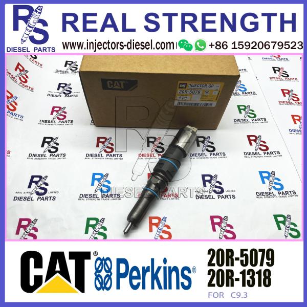 Fuel Injector C9.3 C9 Engine Parts 4563493 456-3493 456-3509 4563509 363-0493 20R-5079 For CAT 336E 336F E336E E336F Exc