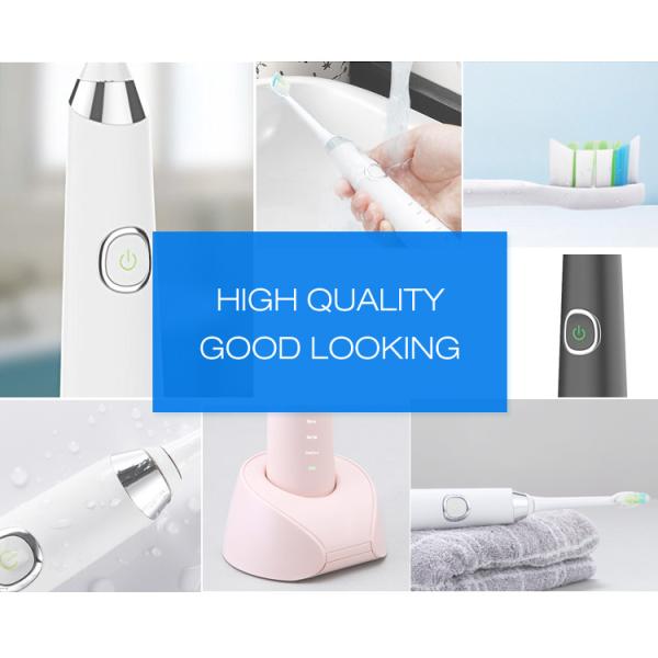 Waterproof IPX7 Low Noise Sonic Electric Toothbrush with Four Smart Working Patterns