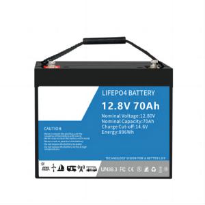 Dustproof Durable LifeP04 Ebike Battery , 70AH Lithium Iron Phosphate BMS