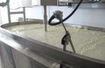 SUS304 Industrial Cheese Making Machine With Heating , Cooling Jacket And