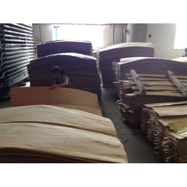 Rattan bentwood rocking chair good quality