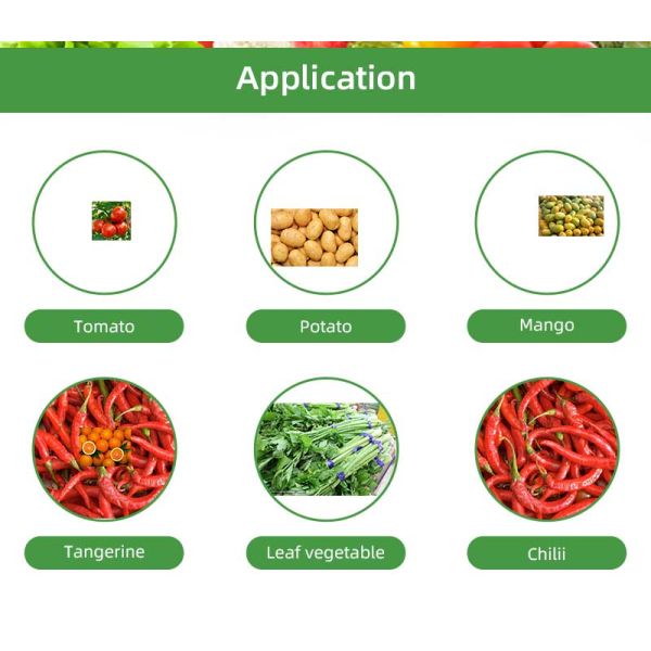 Fruit Washing Machine Manufacturers Fruit Washing Machine Australia