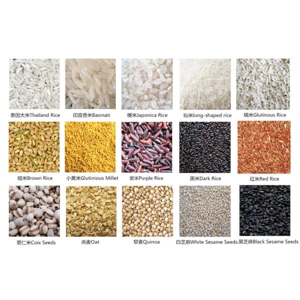 AC220/50Hz Rice Sorting Machine , Industrial Color Sorter CE SGS Certificate