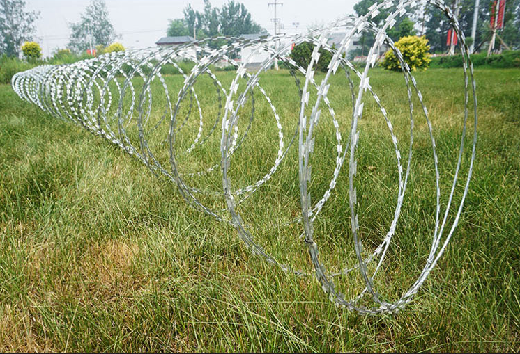 BTO-10 Coil Fence Barbed Galvanized Razor Wire With Blades