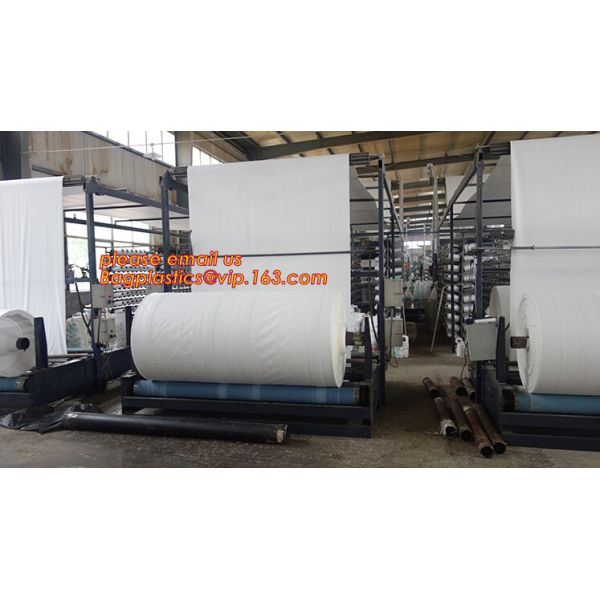 Garden used tomato plastic film cover,high light transmittance solar control seeding nursery greenhouse covers,100% virg