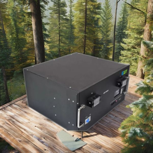 48V Rechargeable Lithium-Ion Battery Pack Durable Energy Storage System with Max Load Quantity cells 4