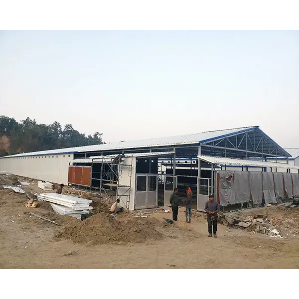 Automatic Steel Structure Peb Customized Poultry Chicken Farming Shed