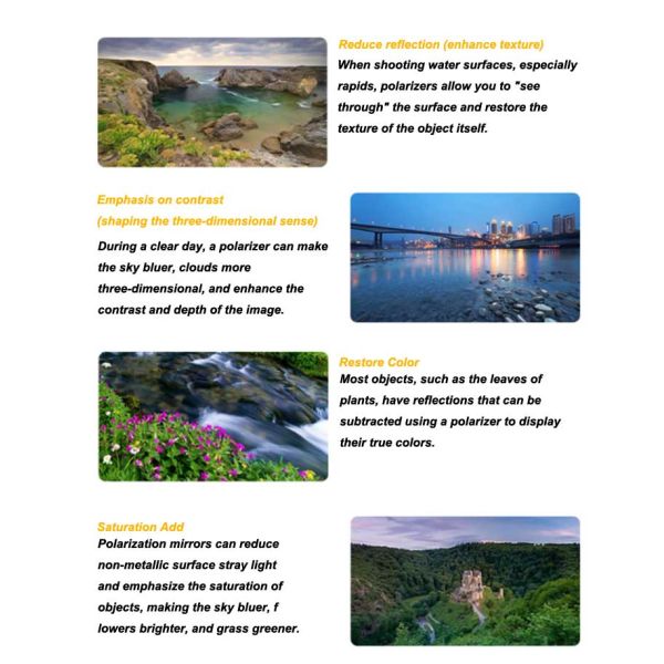 Custom Optical Filter 254nm 405nm 450nm Fluorescence Filters For Biological Application Filters