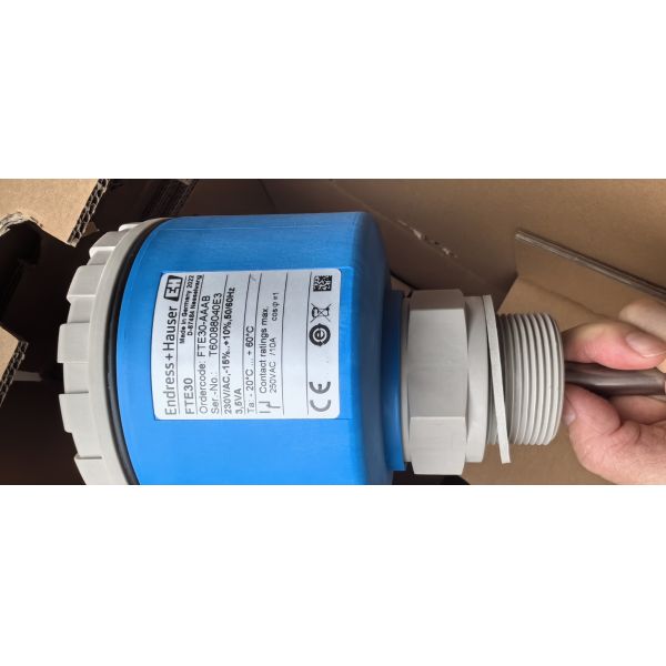 Endress Hauser Fte30 Soliswitch Rotary Paddle Level Switch 230VAC