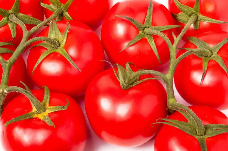 China High Capacity Fresh Tomato Puree Processing Line Customization wholesale