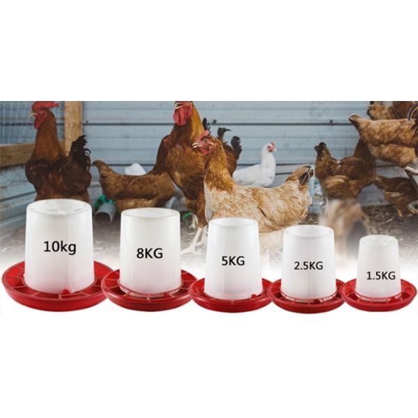 Broiler Outdoor 3kg Plastic Poultry Feed Trays Chicken Drinker
