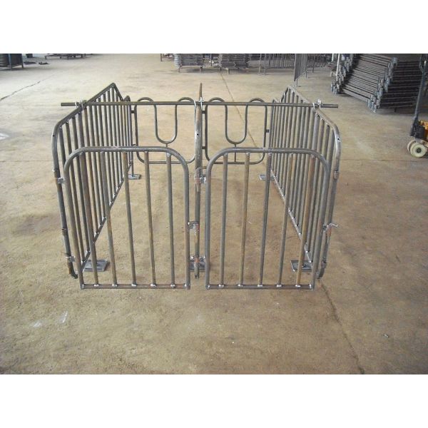 Anti Corrosive Pig Farrowing Equipment , Galvanized Breeding Crate For Swine