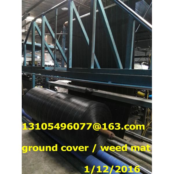 2016 High Quality PP woven weed mat for agriculture/ mulch film/ground cover