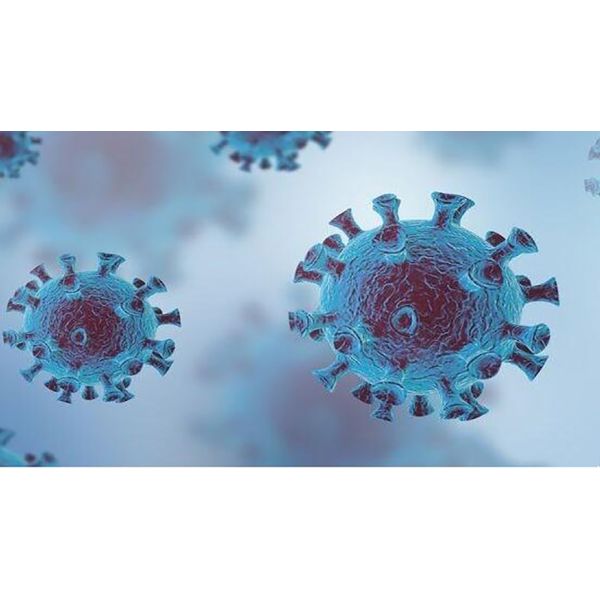 97.51% Accuracy COVID 19 IgG IgM Rapid Test Cassette