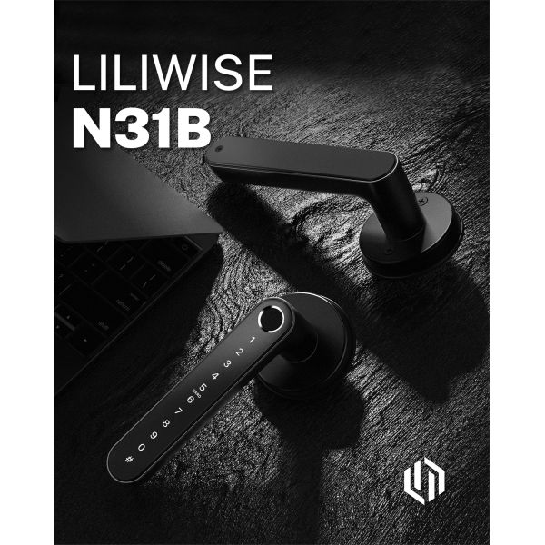 WiFi App Smart Fingerprint Door Handle Lock Identification Time 0.1S