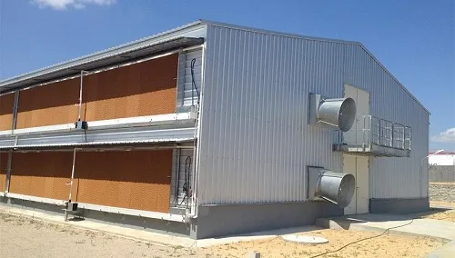 Modern Design Steel Structure Broiler House Chicken Warehouse For Farmhouse Application