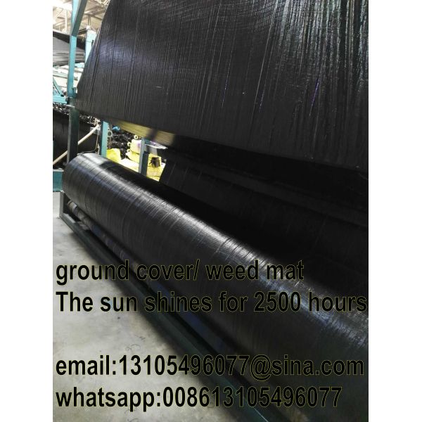 Anti grass cloth weed mat with anti-UV/PP woven geotextile fabric
