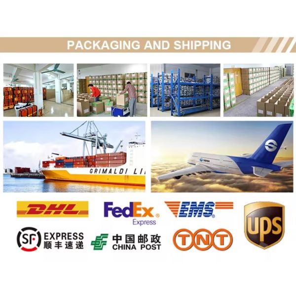 Custom Diaper Bag Backpack MultiFunction Travel Bag with Changing Pad mochila Casual Bag for womens Tote Bag