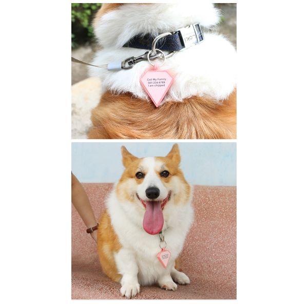 Wholesale low MOQ Cheap different shape many colors for options silicone blank dog tag name ID tag