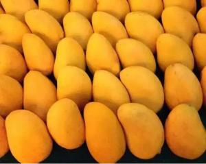 China Mango Fruit Jam Production Line Automatic High Capacity wholesale