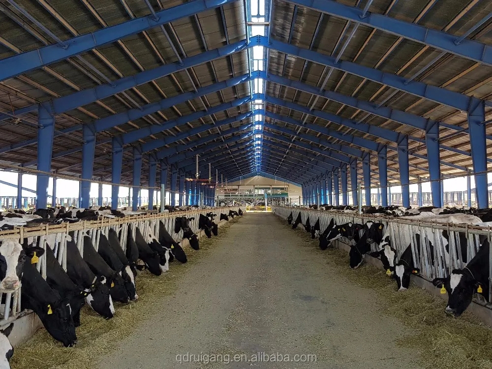 Steel Metal Sheds Cow Pig Houses Prefab Poultry House Roller Door Construction