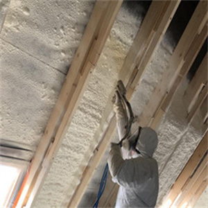 Polymeric Mdi for Polyurethane Insulation Foam in Spray, Refrigerator, Panel