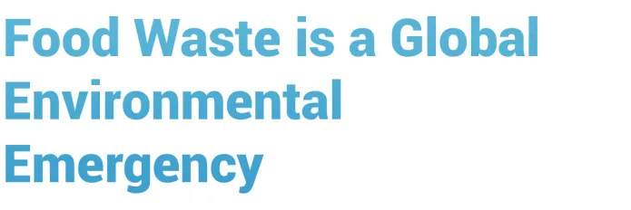 Eco Friendly Kitchen Compost Appliance Automatic App Controlled