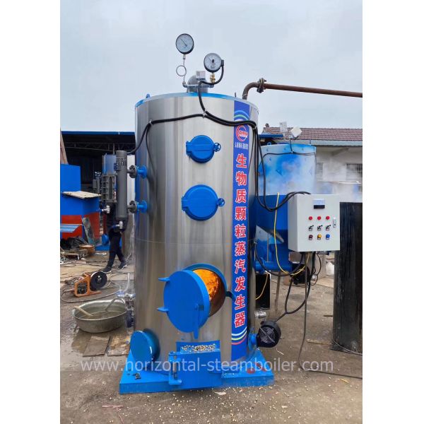 0.5 T/H Vertical Wood Pellet Small Biomass Boiler For Philippines Stainless Steel