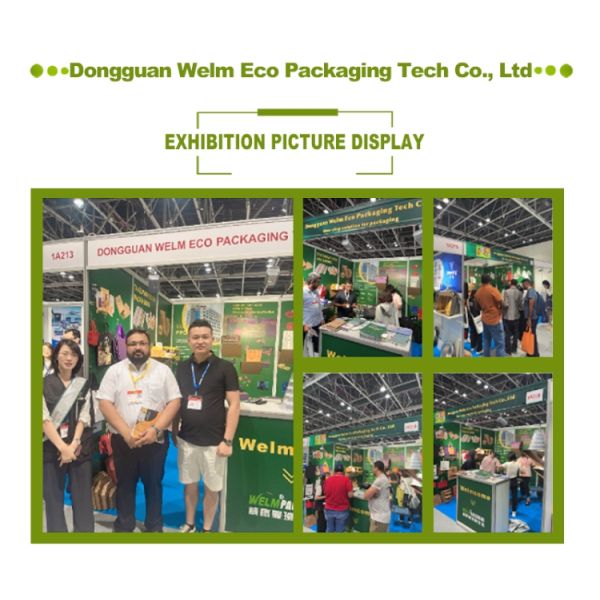 Disposable Rigid Fried Chicken Boxes Kraft Sandwich Box For Take Away Food Packaging