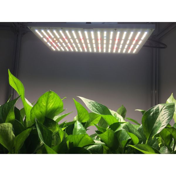 2.7umol UV LED Grow Lights 120W Professional full spectrum lm301B led quantum board for indoor greenhouse lighting