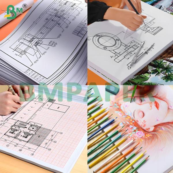 20lb Good Ink Absorption Plotter Paper for Clear Image Printing and Drawing