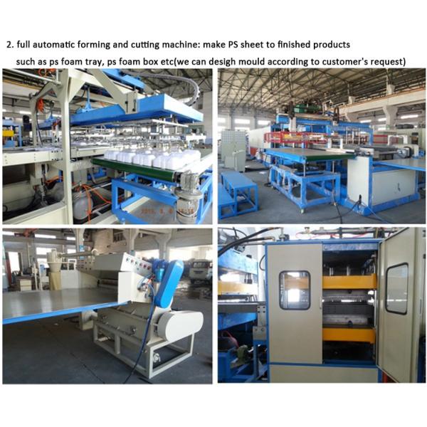 Polystyrene Foam Trays Forming Machine For Disposable Food Packaging