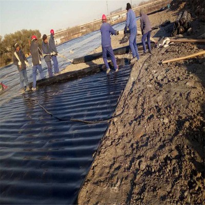 0.75mm 1.0mm HDPE Geomembrane Pond Liner for Biofloc Tank Customizable and Waterproof