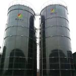 Q235B Steel Plate Automatic Anaerobic Digestion System