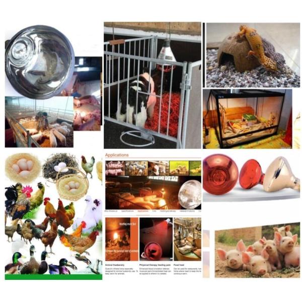 Breeding Bulb 75w Pig Trough Feeder E27 Infrared Heat Lamp