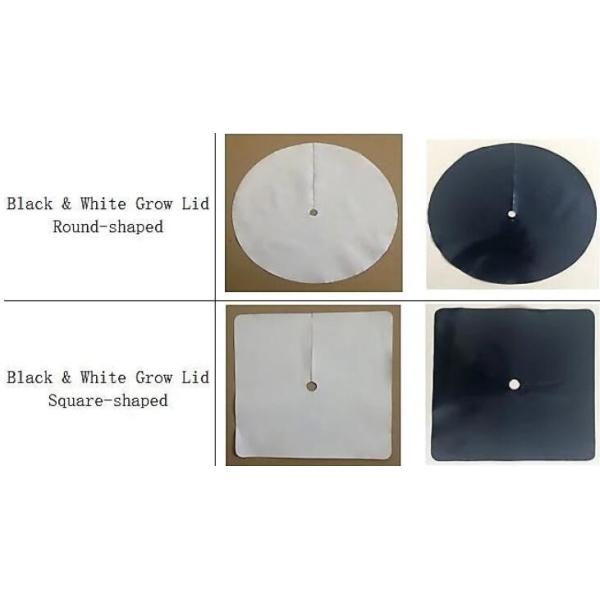 Garden used tomato plastic film cover,high light transmittance solar control seeding nursery greenhouse covers,100% virg