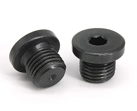 10mm Titanium Pipe Plug Stainless Steel Inox Polished Hex Socket Screws Din908 Your Go-To Product for Easy Installations