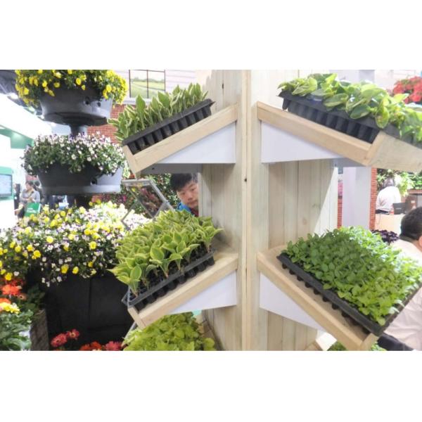 32cells PS 54cm Length Plastic Seed Trays Planting Flats With Dome