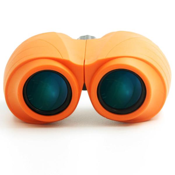 Bk7 Prism Glass 10x25mm Compact Folding Binocular For Birding