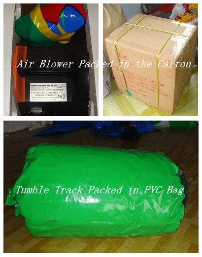 Inflatable pool / inflatable water pool / giant swimming pool with Canopy