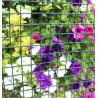 Buy cheap Green PVC Coated Welded Wire Mesh Long-Lasting Fencing Solution from wholesalers