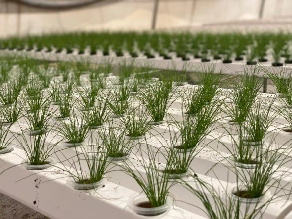 Customized Flexible Hydroponic Growing System NFT Tube For Cleaner Growth