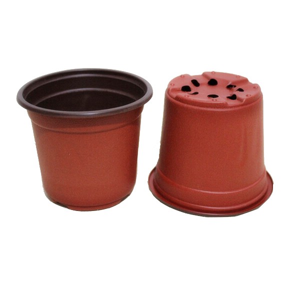 Greenhouse Using Bicolored Small Plastic Flower Nursery Pots For Seeds