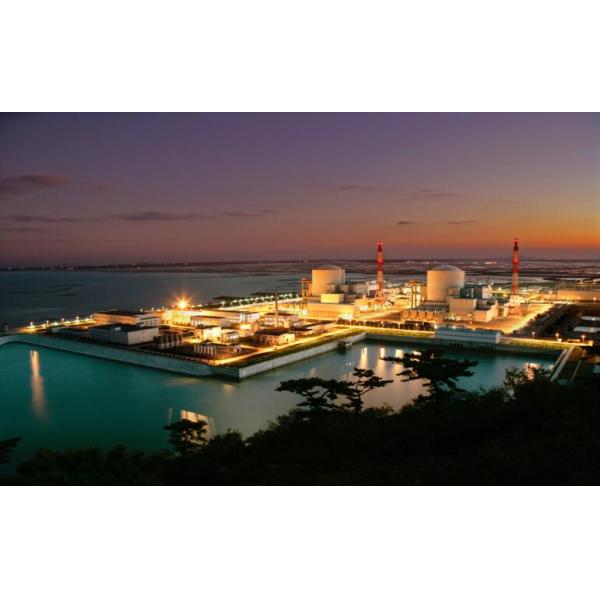 Black Copper Conducor Armoured Electrical Cable With Steel Tape Armoued