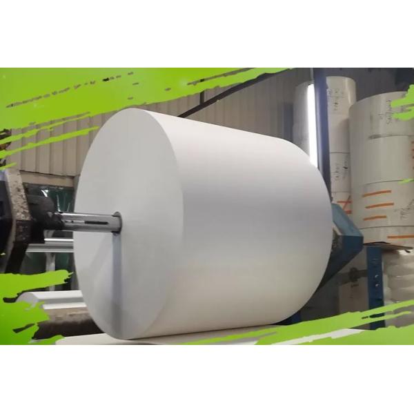 Single Double Side 10-18gsm PE Coated Paper Sheet Greaseproof