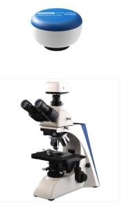 China Polarizing Microscope , Digital Optical Microscope LED / Halogen Transmitted Illumination wholesale